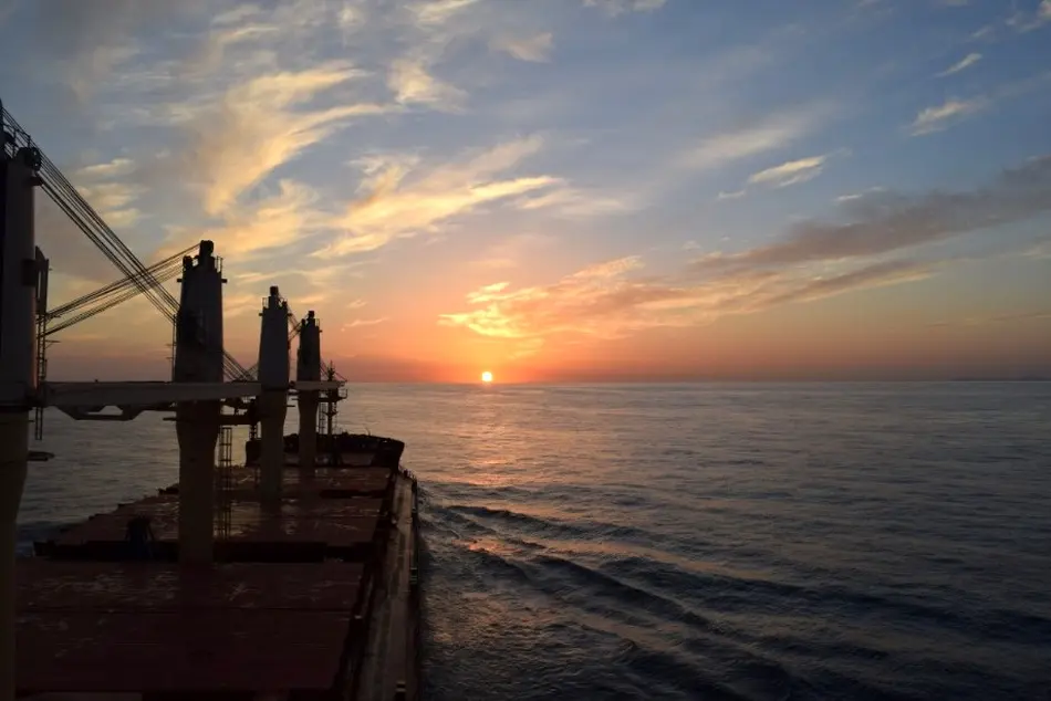 Diana Shipping Offloads 14-Year Old Panamax