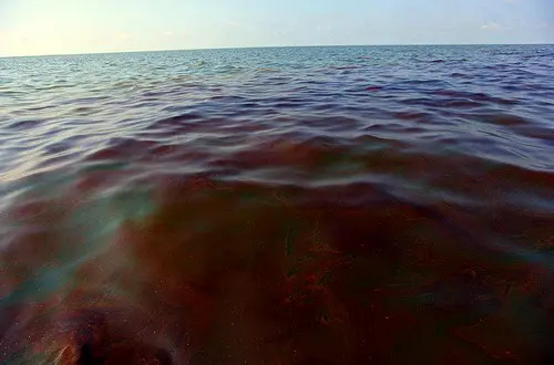 Oil spill near Piraeus extended after tanker sinks