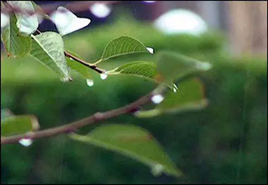 کاهش ۳۸ درصدی بارش و افزایش دمای استان مازندران در پائیز ۱۴۰۱