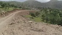 مناقصه آسفالت راه روستایی گل آخر