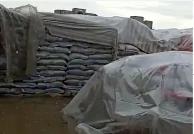 مرجع تحویل گیرنده، مسئول ایجاد شرایط مناسب نگهداری برنج ها در زاهدان بود 