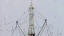 لغو مجوز فعالیت صیادی 16 کشتی ترال در جاسک