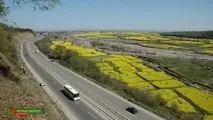 ایمنسازی 43نقطه پر تصادف و دارای تصادفات در جاده های مازندران