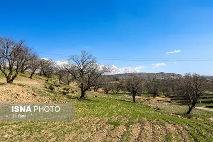 روستایی در دامنه زاگرس 11