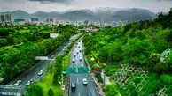 پیگیری مطالبات معوق پیمانکاران تا هرس ۱۵هزار درخت در قلب تهران
