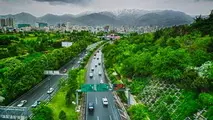 پیگیری مطالبات معوق پیمانکاران تا هرس ۱۵هزار درخت در قلب تهران

