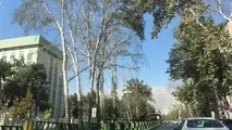 فیلم | قطع تاج درختان کهن سال شهر تهران توسط یک شرکت خارجی/ آقای زاکانی کجا هستید؟