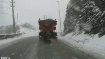 بارش برف در جاده چالوس و طالقان سبب کندی حرکت خودروها شده است