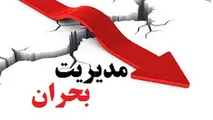 منطق مورچه‌ ها!/ درس‌ های مدیریت بحران از مورچه‌ ها؛ اولویت‌بندی منابع و حفظ منافع عمومی