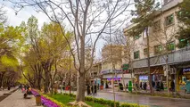 لایحه حمایت از مجموعه های گردشگری در دولت تصویب شد