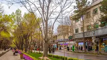 لایحه حمایت از مجموعه های گردشگری در دولت تصویب شد