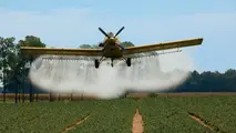 آمادگی دو فروند هواپیما در هرمزگان برای مبارزه با هجوم ملخ‌ها