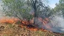 مراتع بهبهان در آتش
