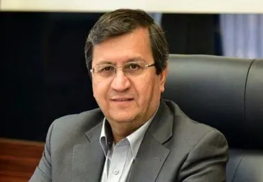 همتی: گفته بودم که خریداران ارز ضرر می کنند