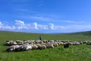 استفاده از ظرفیت معادن برای توسعه راه های چالدران؛ پروژه های عمرانی با سرعت بیشتری پیش می روند