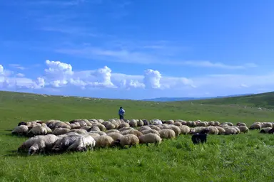 استفاده از ظرفیت معادن برای توسعه راه های چالدران؛ پروژه های عمرانی با سرعت بیشتری پیش می روند