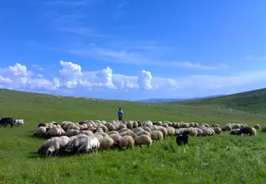 استفاده از ظرفیت معادن برای توسعه راه های چالدران؛ پروژه های عمرانی با سرعت بیشتری پیش می روند