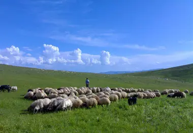 استفاده از ظرفیت معادن برای توسعه راه های چالدران؛ پروژه های عمرانی با سرعت بیشتری پیش می روند