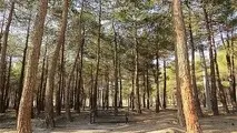 "چیتگر" تعطیل شد