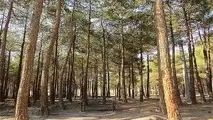 "چیتگر" تعطیل شد