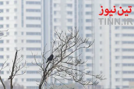 آلودگی هوای تهران