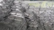 آغاز ترخیص برنج های تنظیم بازار از بندر شهید رجایی/ بارگیری روزانه 25 کامیون به سراسر کشور