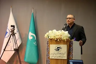 دولت چهاردهم از راه اندازی ایرلاین های استانی حمایت می کند 