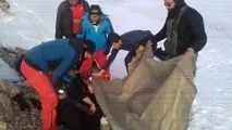 
کوهنوردان گرفتار شده در ارتفاعات اشترانکوه نجات یافتند
