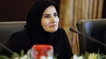 ایجاد مزاحمت برای هواپیمای مسافربری ماهان تعقیب حقوقی به دنبال دارد