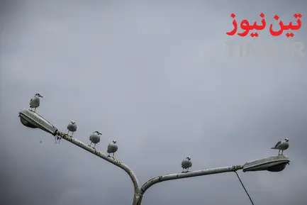 بندر انزلی