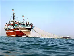  آغاز صید صنعتی زمستانه دریای عمان