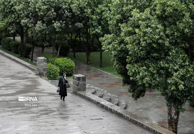 رگبار پراکنده باران در مازندران، گلستان و خراسان شمالی 