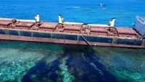 Grounded Bulk Carrier Leaking Heavy Fuel Oil Near UNESCO World Heritage Site