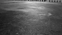 دسترسی آنلاین به بیش از ۵ میلیارد رکورد داده دریایی