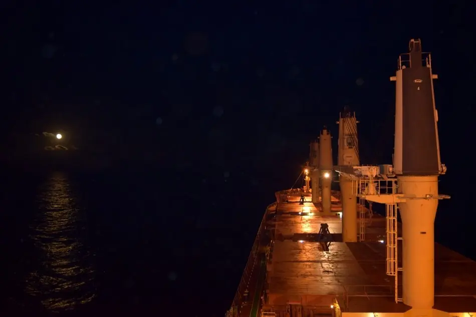 Cargill Hires Diana Shipping’s Capesize