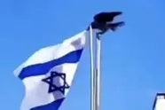 پیام یک کلاغ به صهیونیست‌ ها/ لزوم شناسایی عوامل نفوذی بیگانه و تقویت توانایی های سخت افزاری