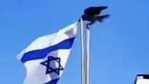 پیام یک کلاغ به صهیونیست‌ ها/ لزوم شناسایی عوامل نفوذی بیگانه و تقویت توانایی های سخت افزاری