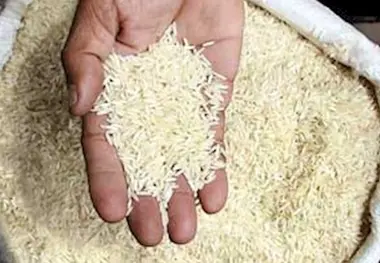 دلیل گرانی برنج در بازار از زبان دبیر انجمن برنج