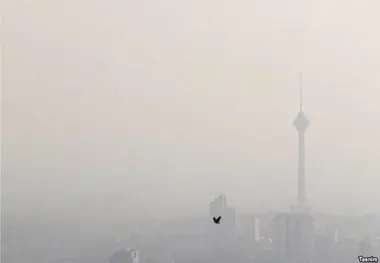 عوارض آلودگی هوا بر سلامت شهروندان+جدول