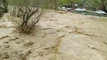 هشدار وقوع سیلاب در ۷ استان کشور/ آسمان تهران بارانی می‌شود 
