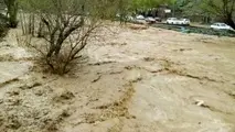هشدار وقوع سیلاب در ۷ استان کشور/ آسمان تهران بارانی می‌شود 