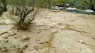 هشدار وقوع سیلاب در ۷ استان کشور/ آسمان تهران بارانی می‌شود 