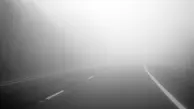 فیلم|  مه گرفتگی با بوشهر چه کرد؟