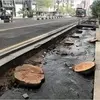 تهران زیر آفتاب/ شهری که برای گرما طراحی نشده است