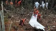 ادعای روزنامه آمریکایی درمورد سقوط هواپیمای چینی؛ عمدی بود