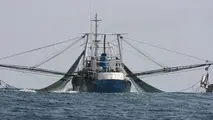 توضیح رئیس سازمان بنادر درباره فعالیت کشتی‌های چینی در خلیج‌فارس