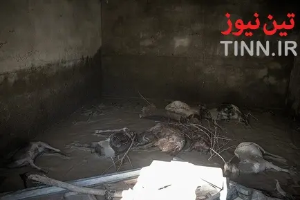 خسارت سیل در روستاهای« زرآباد سیستان و بلوچستان»
