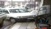 ◄ در سال فرهنگ نیم نگاهی به فرهنگ ترافیک داشته باشیم