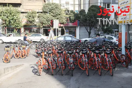 بیدود