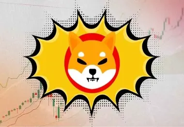 پیش بینی قیمت شیبا اینو تا پایان سال ۲۰۲۵: تحلیل روندهای بازار و پیش بینی های کارشناسان


